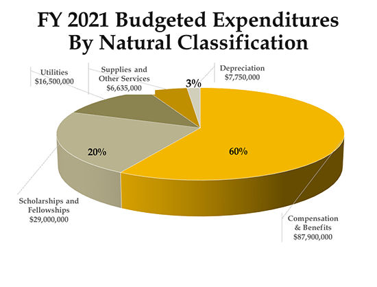 Fy 2021 budgeted expenditures by natural classification