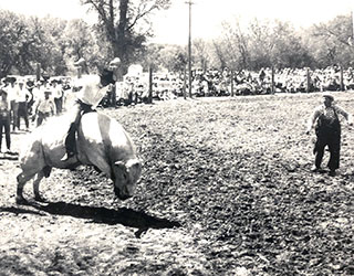 photograph of Doug Philip riding a bull
