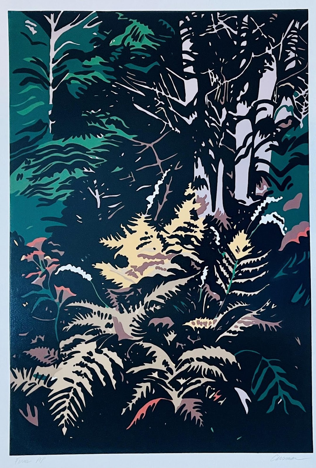 ferns