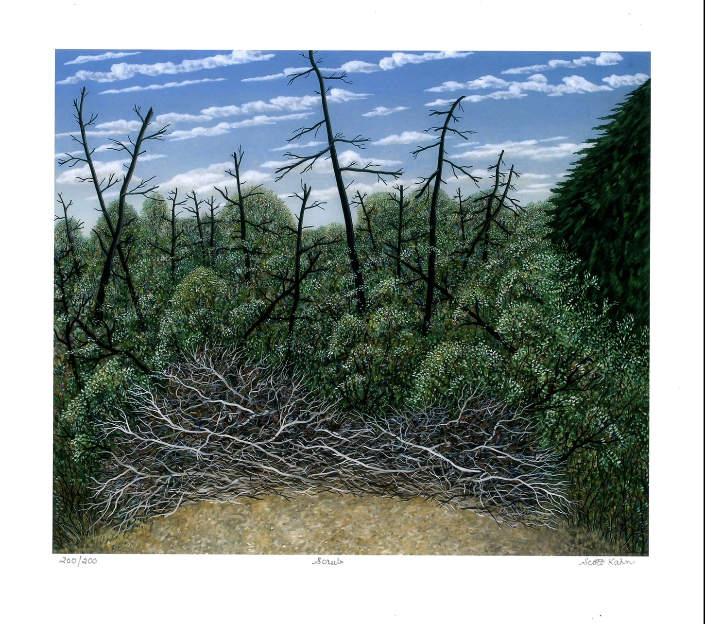 image00039