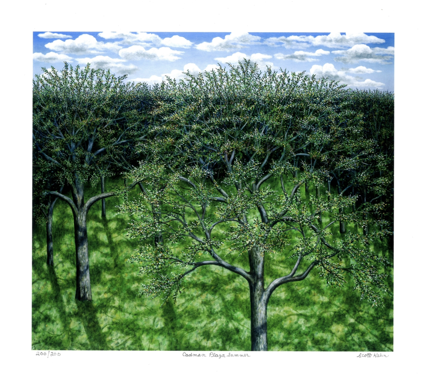 image00044