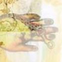 Thumbnail of Habit~Trust Thumbnail of Habit~Trust