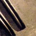 Thumbnail of Iron Rooster Thumbnail of Iron Rooster