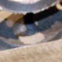 Thumbnail of Say Cooter Four Times Fast Thumbnail of Say Cooter Four Times Fast