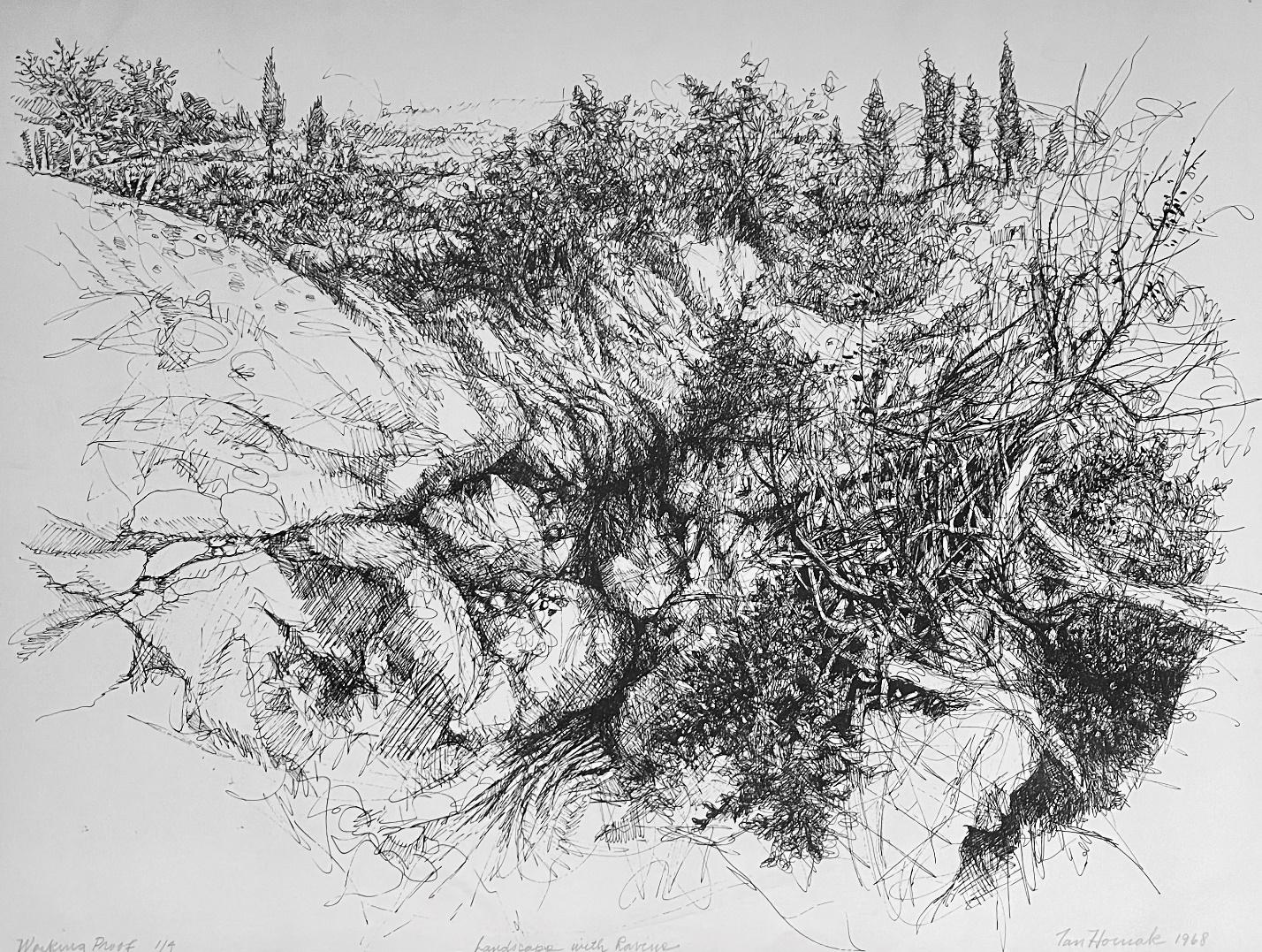 Landscape with Ravine