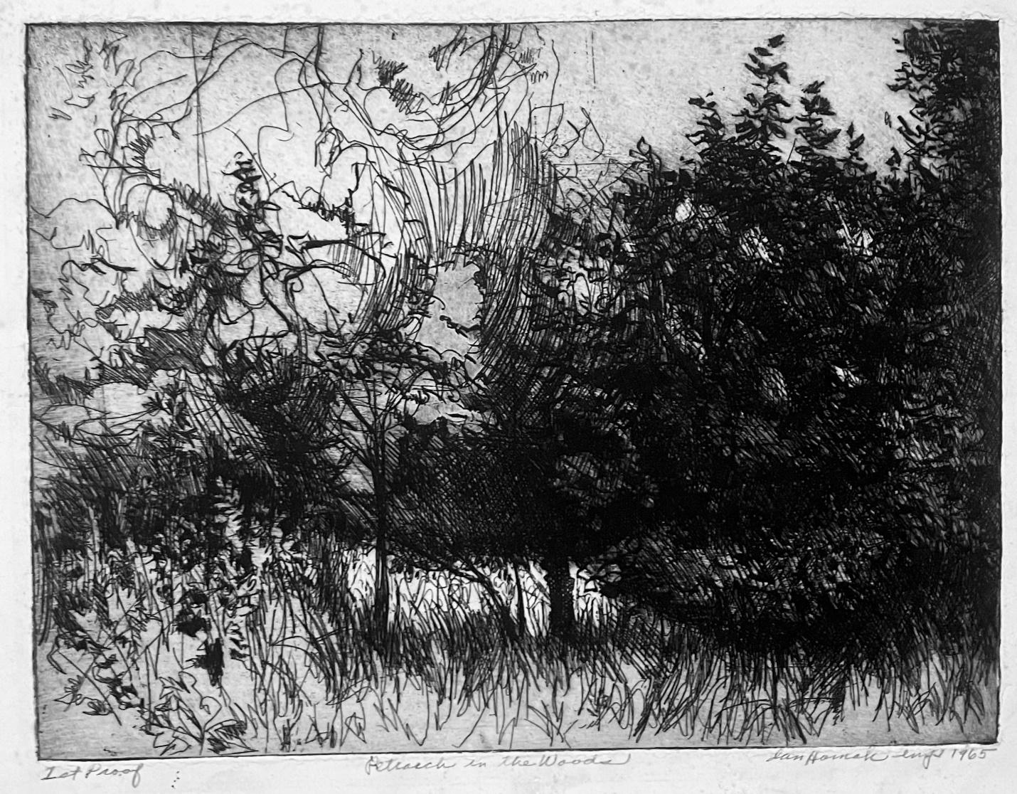 Petrarch in the Forest