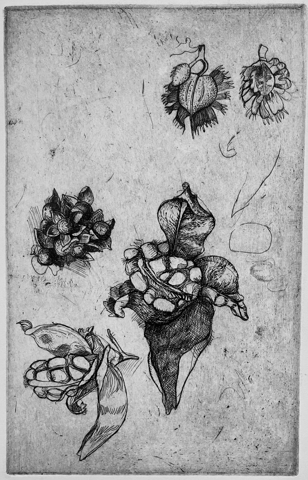 Untitled, black and white