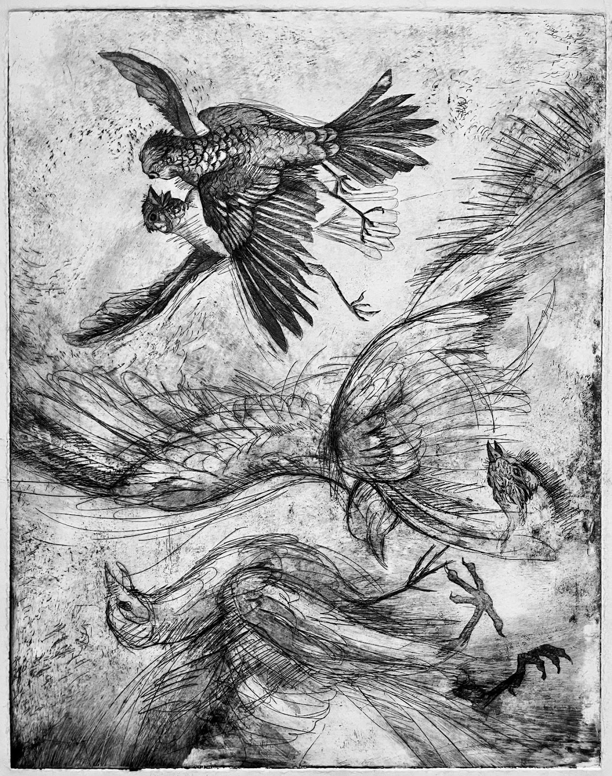 Untitled, circa 1964, birds