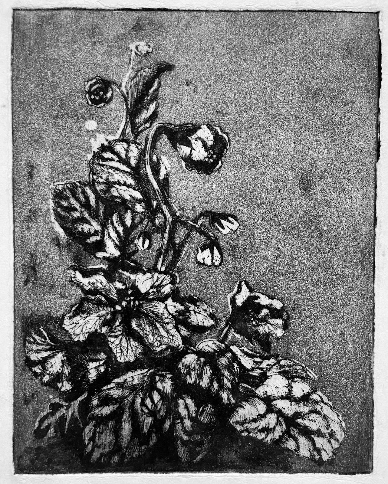 untitled-circa-1965-flowers.jpg