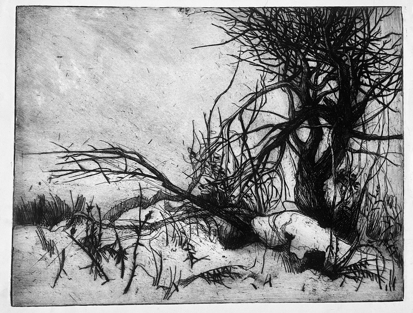 Untitled, circa 1965