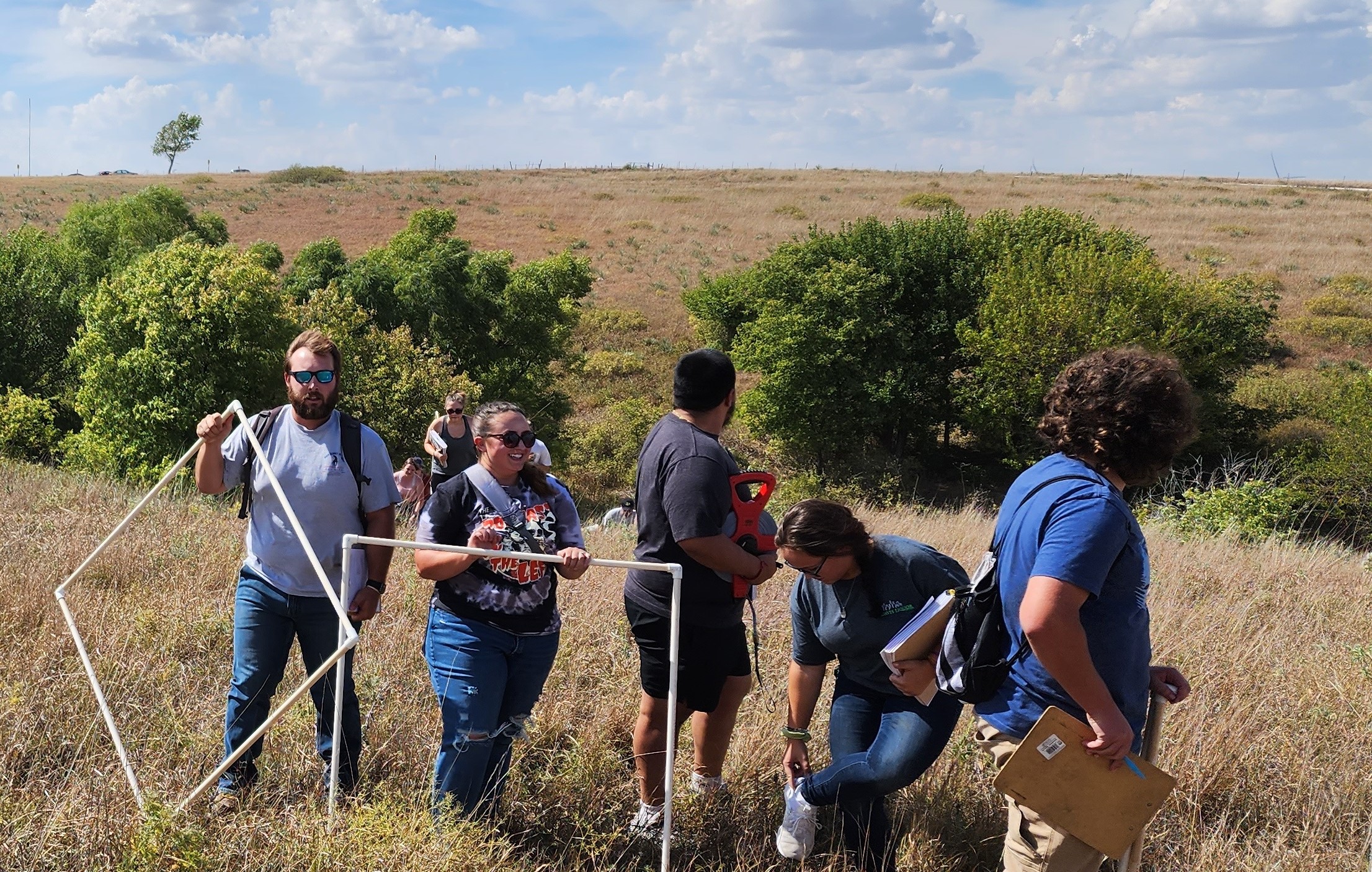 Field Work