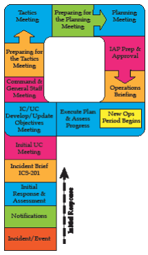 initial_response