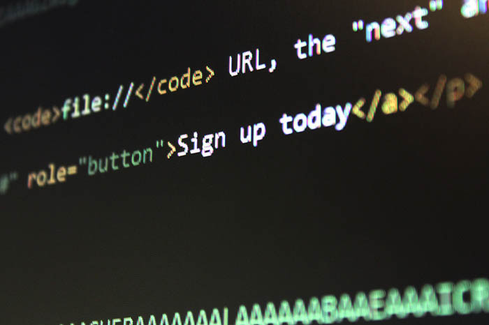 Web Dev Code Web Dev Code