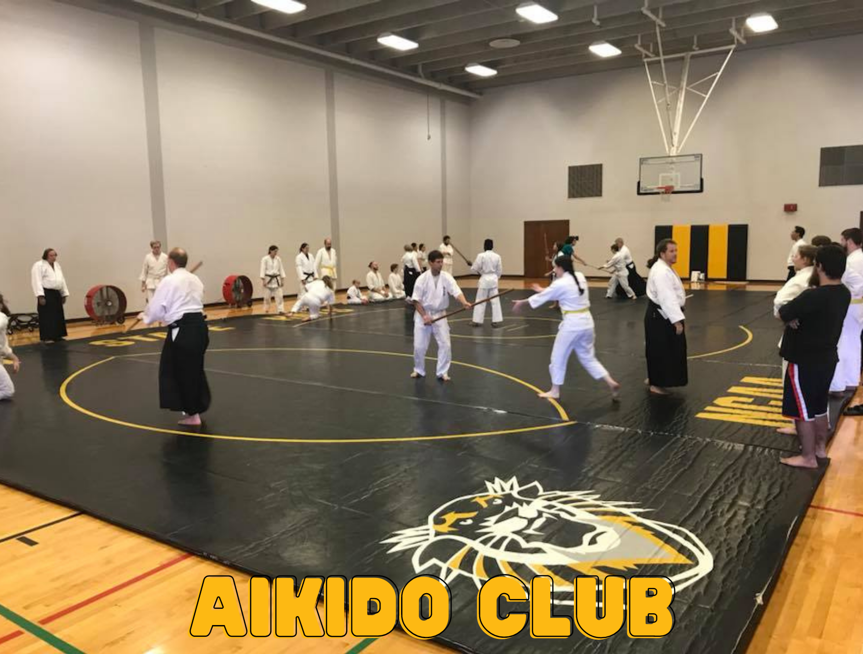 aikidoclub
