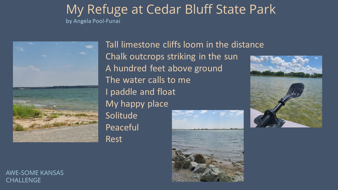 AwesomeKS Angela Pool-Funai