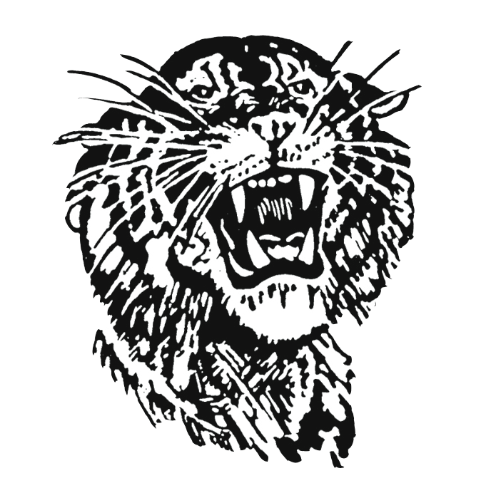1979-2000 Tiger Roar
