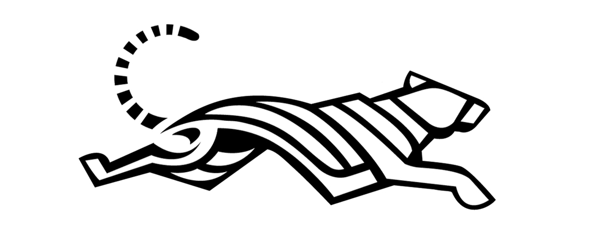 1999 Tiger