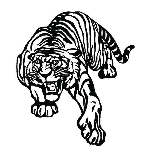 Unofficial Mascot 2