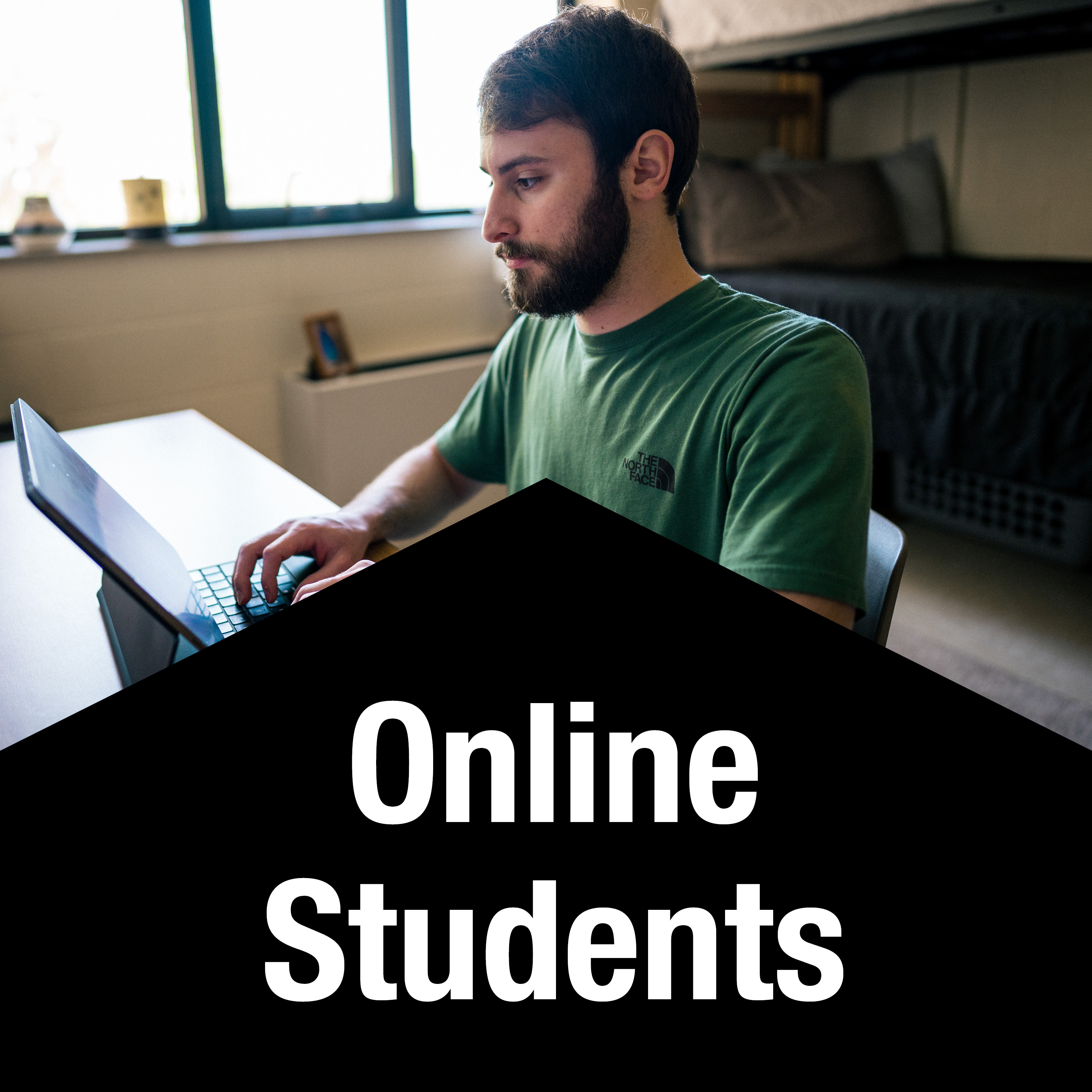 Online Students