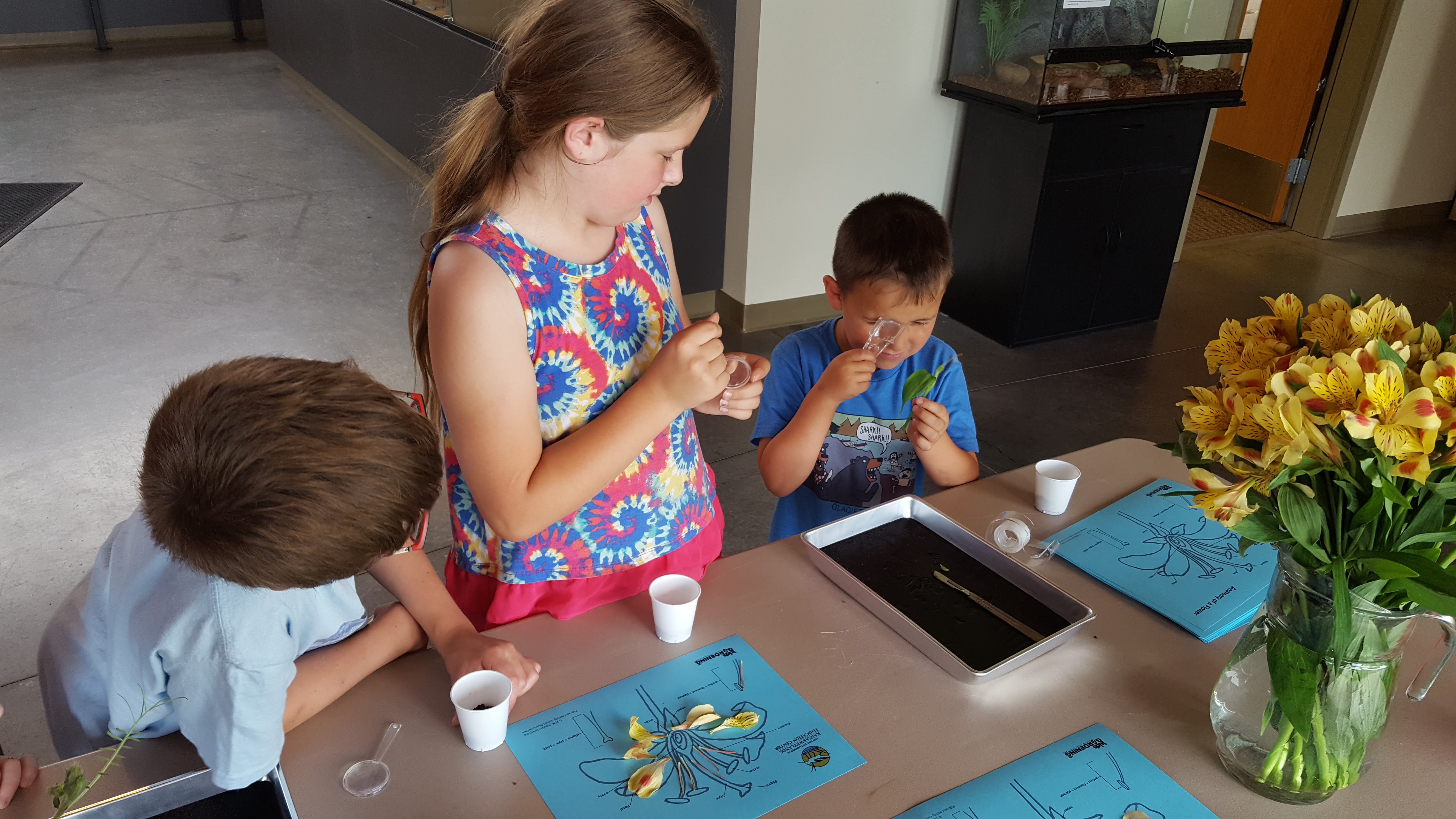 Visitors at a pollinator themed Drop-In STEM dissected flowers learning how a seed is formed.