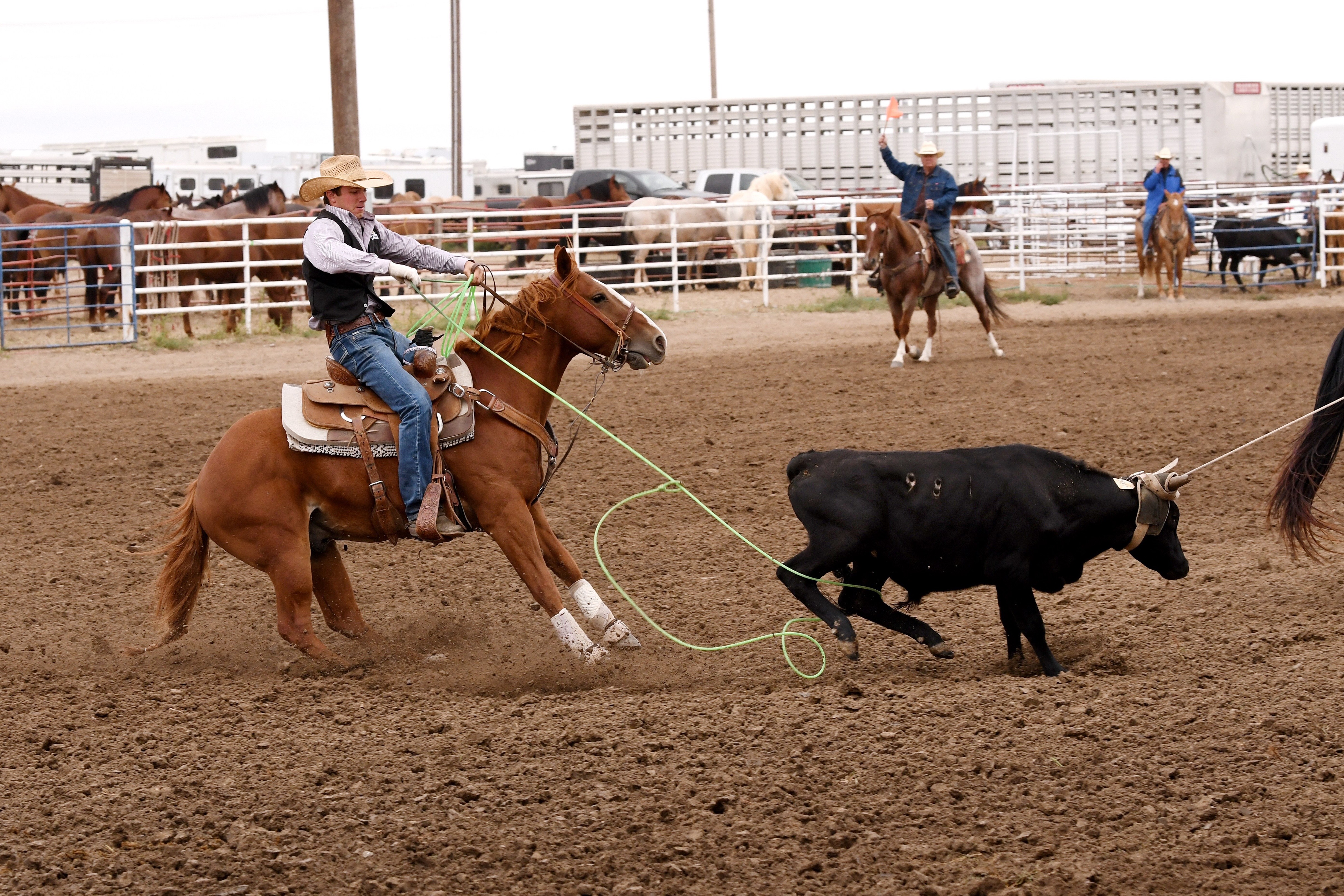 FHSU senior Nathan Rempe, competing as the heeler in the team roping event.