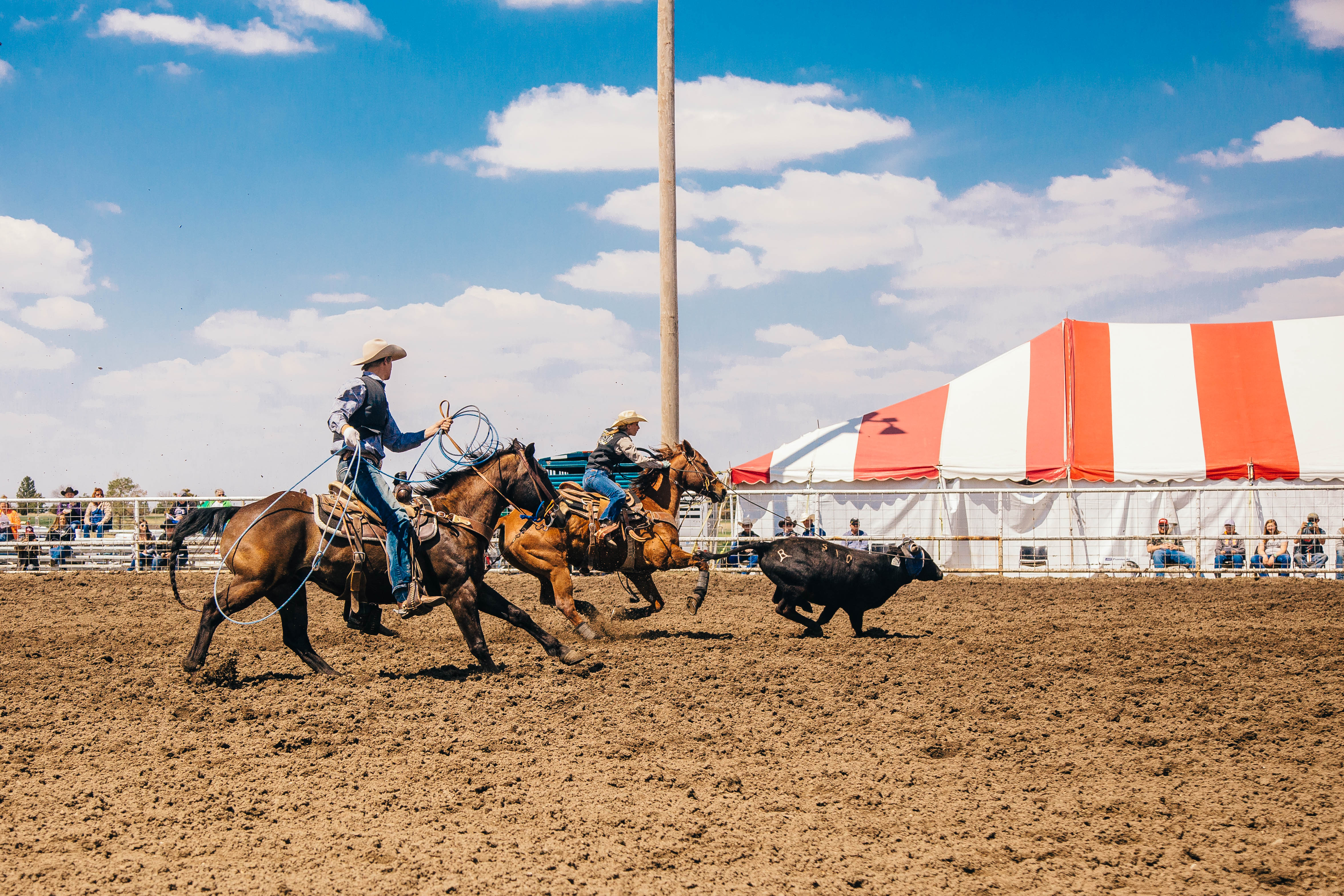 fhsu rodeo