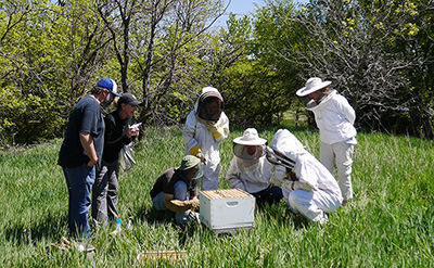 Bee club- web