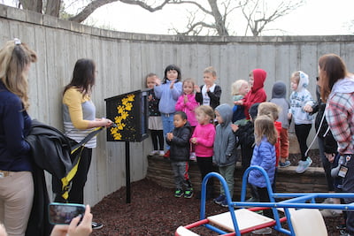 Tiger Tots preschoolers clap as their new outdoor library is revealed