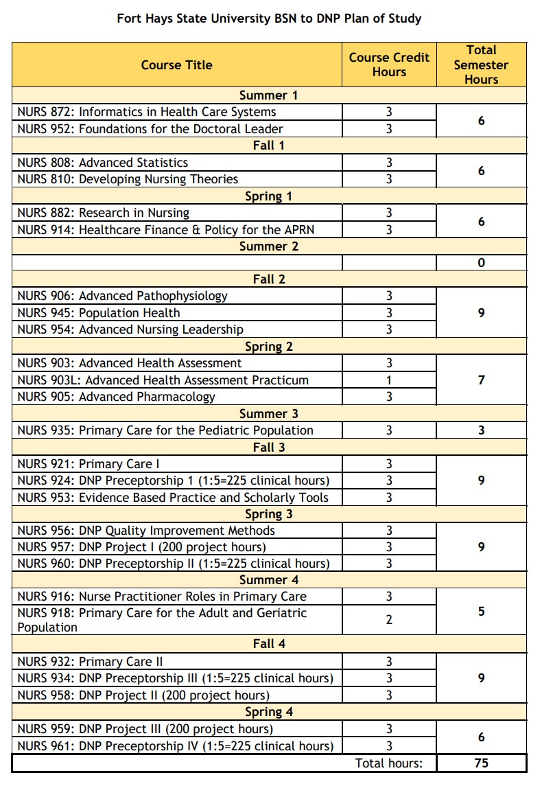 Newest SBN to DNP plan of study image