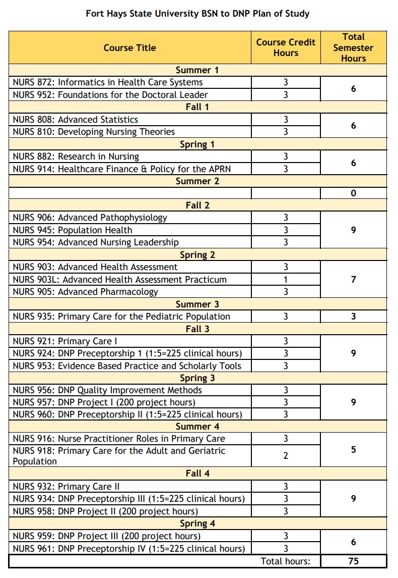 newest-bsn-to-dnp-plan-of-study-image.jpg