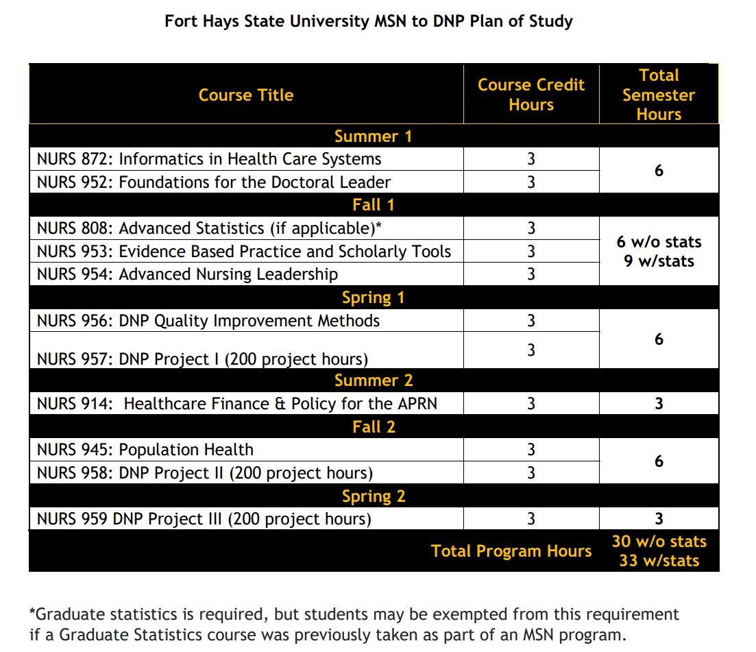 Newest MSN to DNP Plan of Study