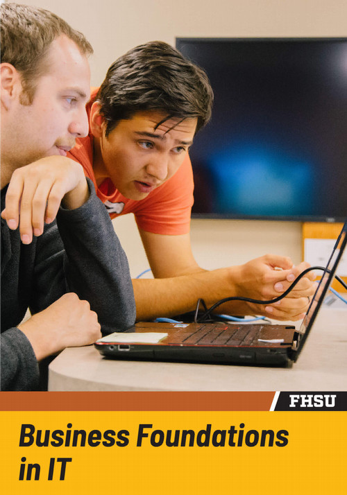 Business Foundations in IT