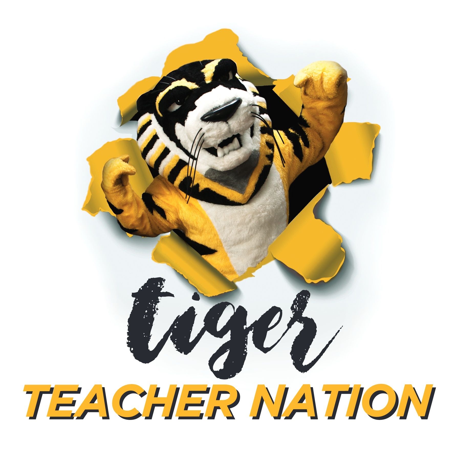 tiger teacher nation