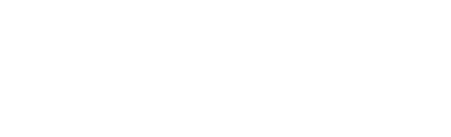 FHSU logo - white - slab