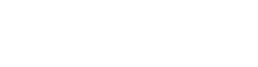 FHSU logo - white - slab
